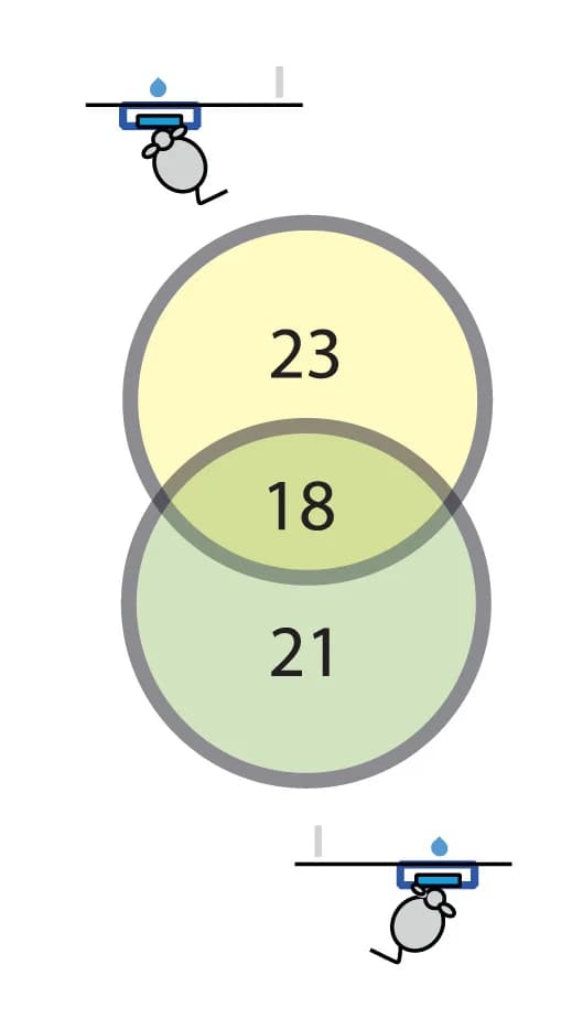 Open access visualization of Venn Diagram, Neurons, Reward, Contraversive Movement, Ipsiversive Movement