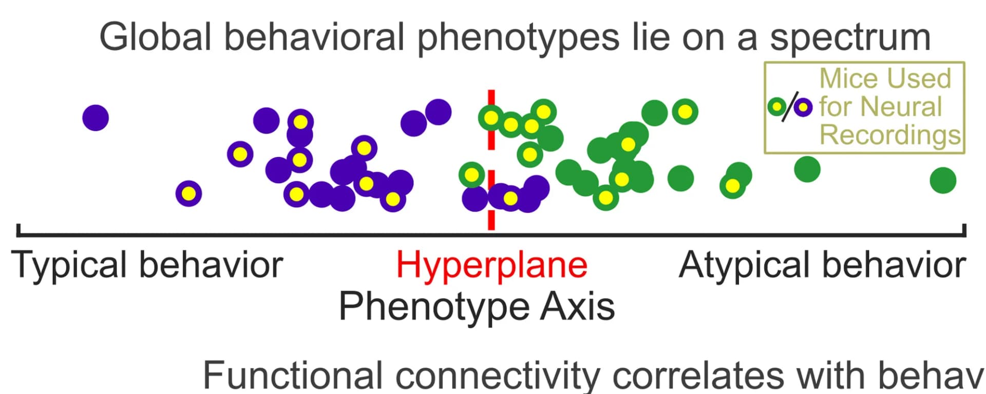 Open access visualization of Scatter Plot, Phenotype Axis, Hyperplane, SVM