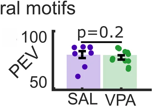 Open access visualization of Bar Plot, Error Bars, Scatter Plot, Variance, Cortical Neural Activity