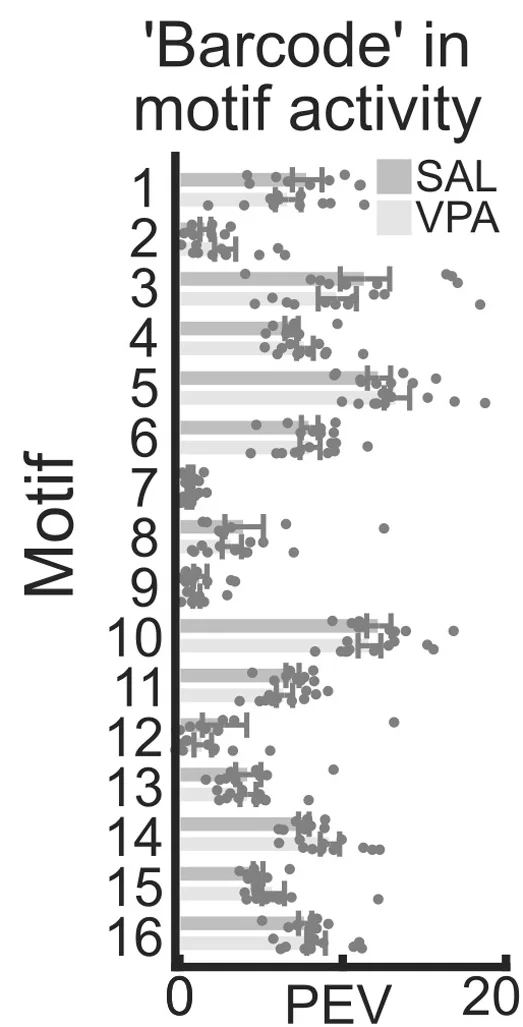Open access visualization of Bar Plot, Scatter Plot, Error Bars, Variance, Neural Activity