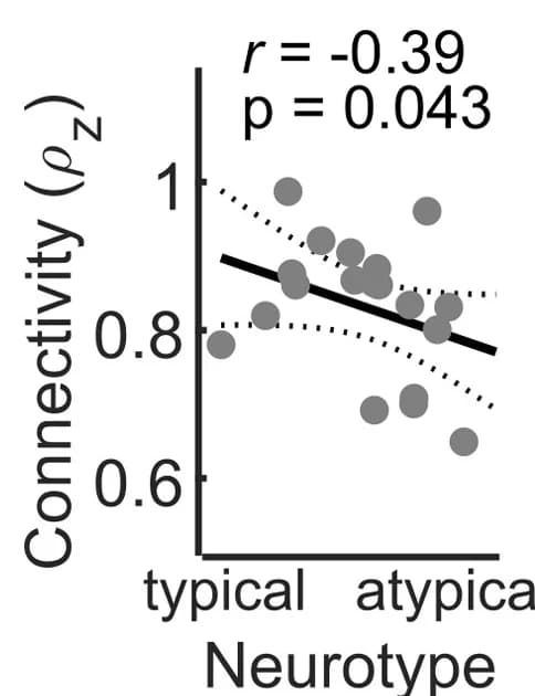 Open access visualization of Scatter Plot, Regression Plot, Functional Connectivity, Neurotype, Correlation