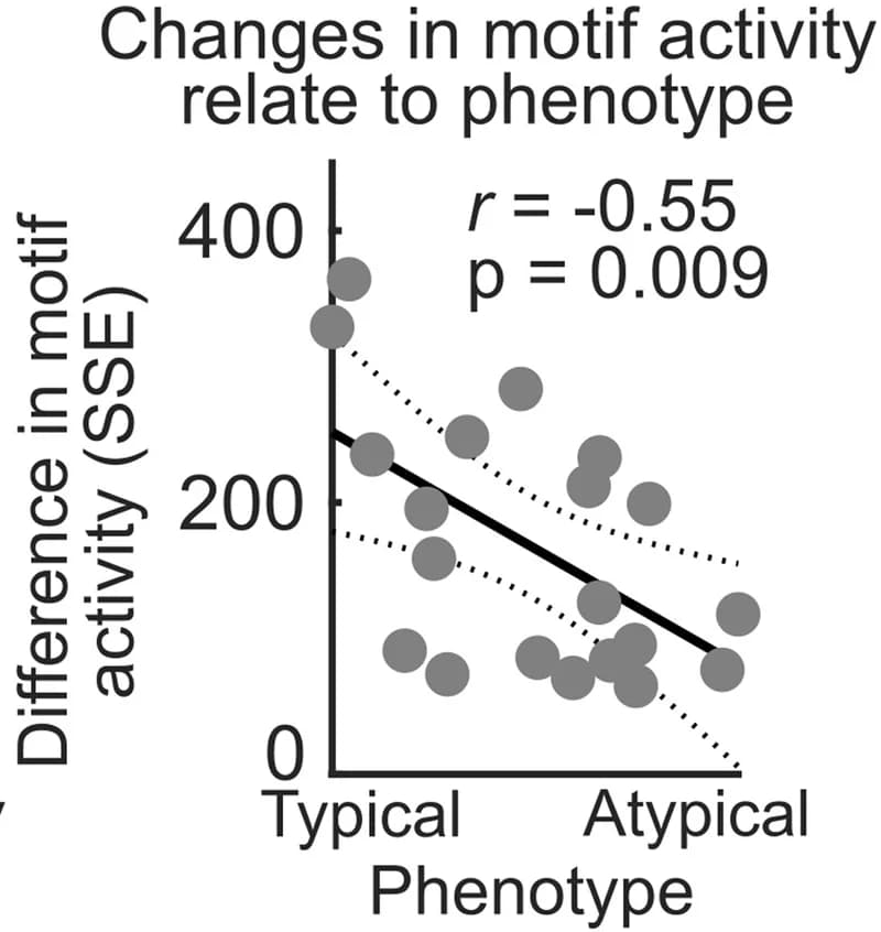 Open access visualization of Scatter Plot, Regression Plot, Motif Activity, Behavioral Phenotype, Sum Squared Error