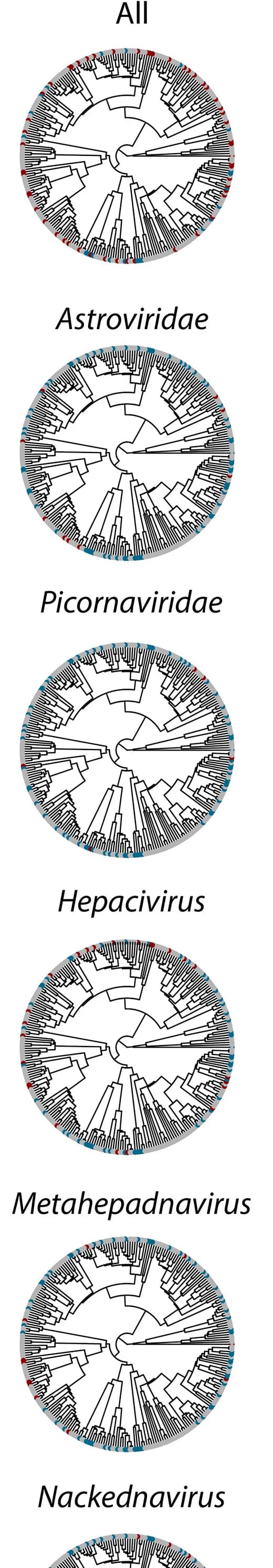 Open access visualization of Network, Pathway, Phylogenetic Diversity, Infected Species, Uninfected Species