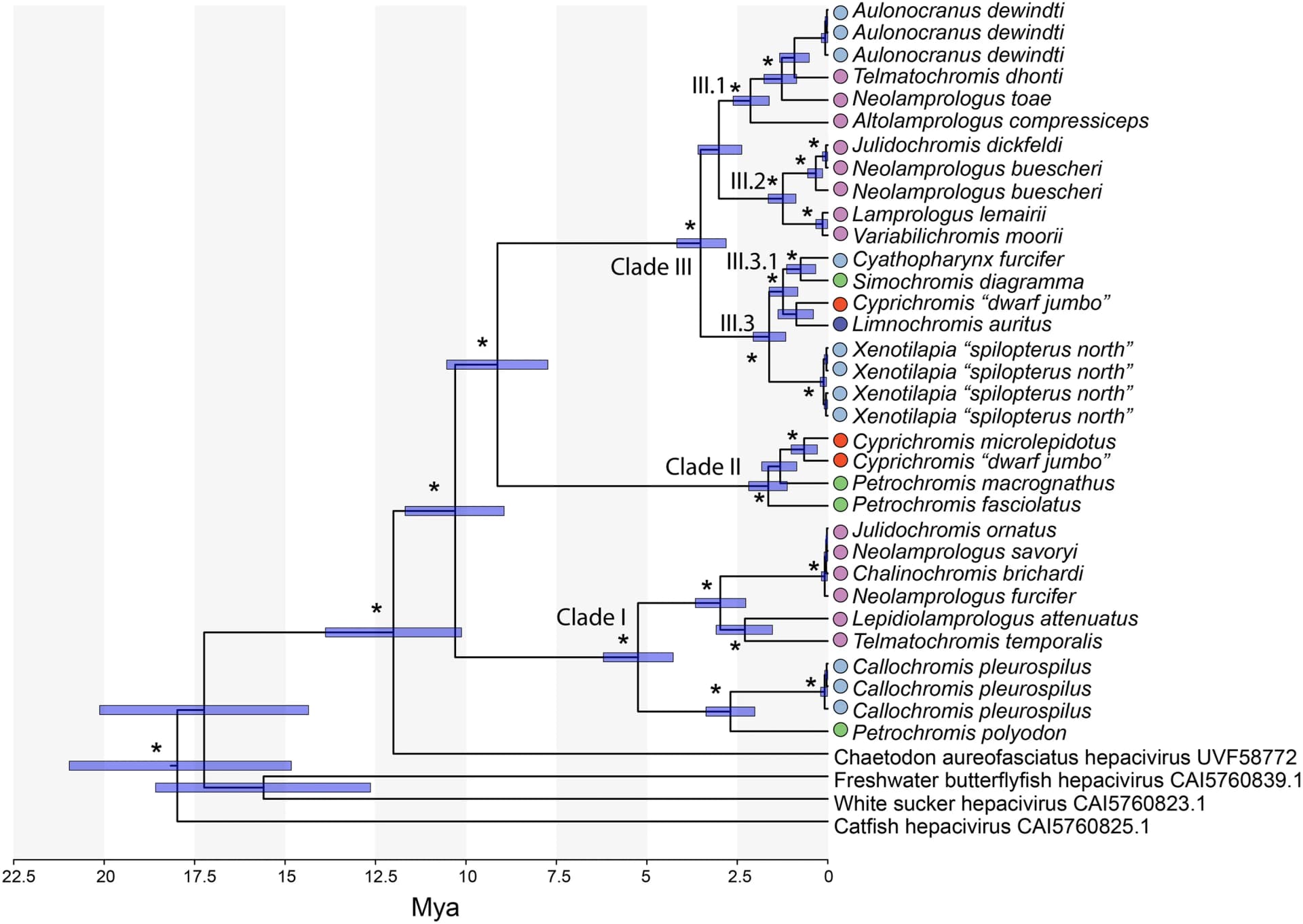 Open access visualization of Network, Pathway, Phylogenetic Tree, Ray-Finned Fish, Hepacivirus