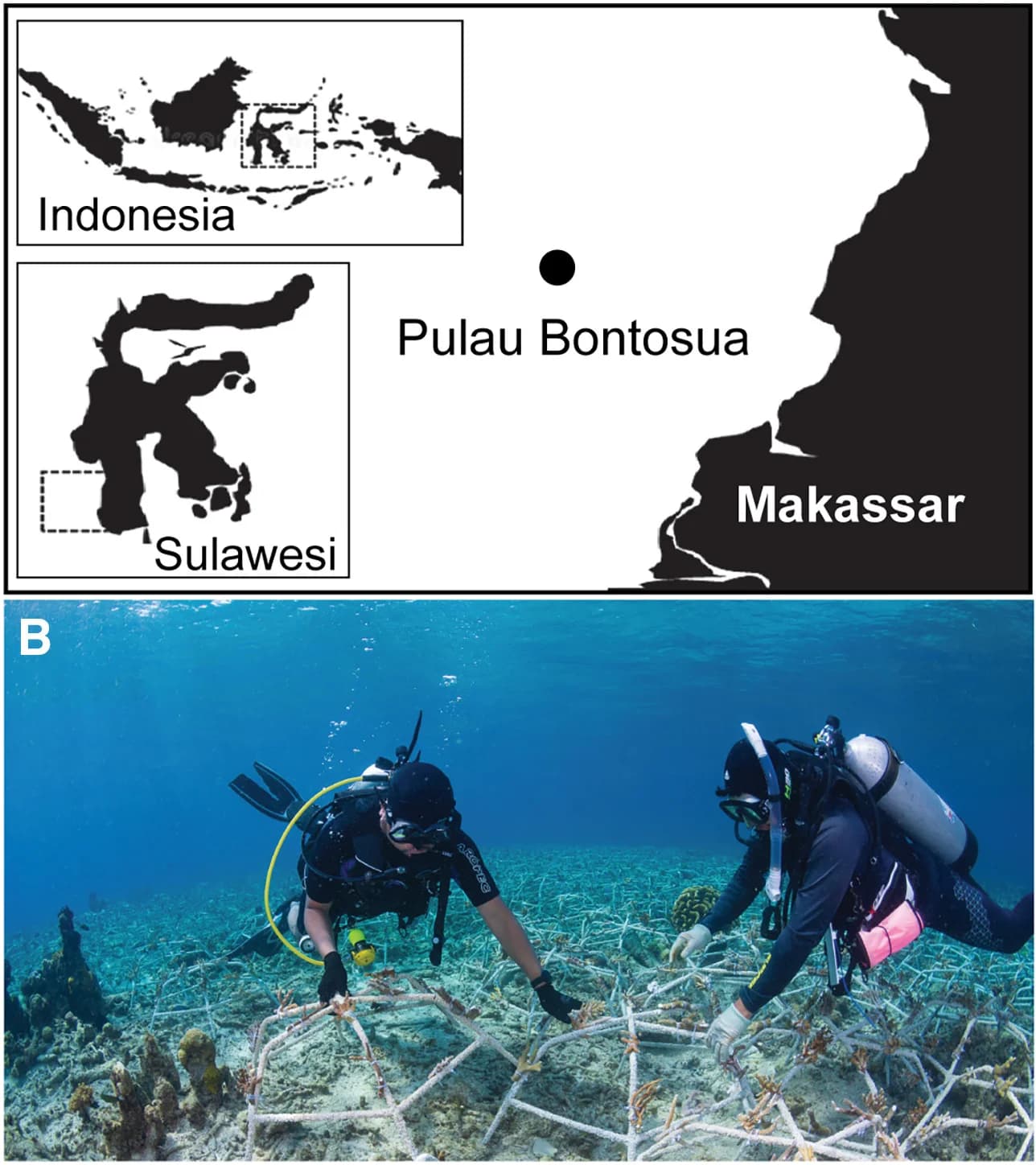 Open access visualization of Geo Map, Photo, Pulau Bontosua, Spermonde Archipelago, South Sulawesi