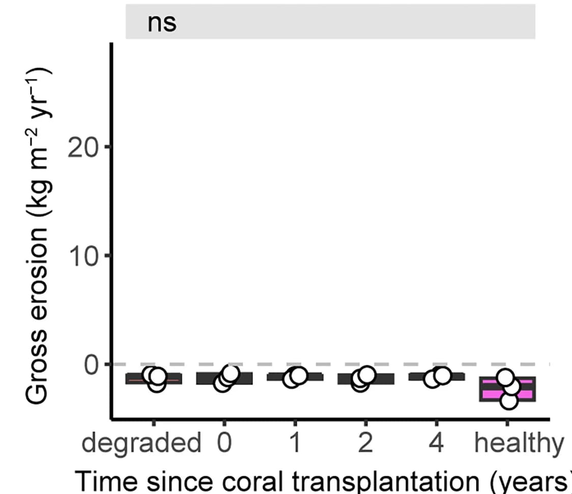 Open access visualization of Box Plot, Gross Carbonate Erosion, Degraded Reefs, Restoration Sites, Healthy Reefs