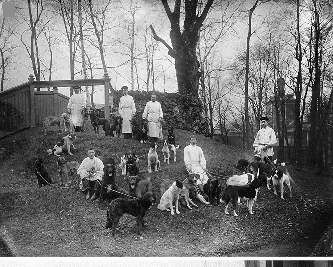 Open access visualization of Photo, Dogs, Caretakers, Physiology Department, Imperial Institute of Experimental Medicine