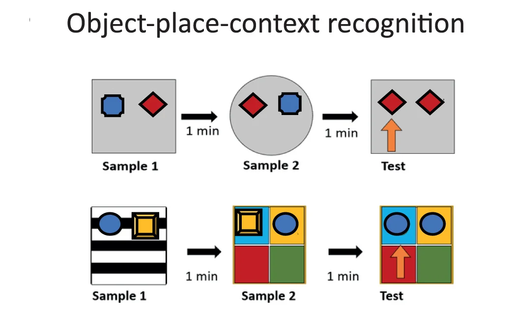 Open access visualization of Workflow, Flowchart, Illustration, OC, OPC
