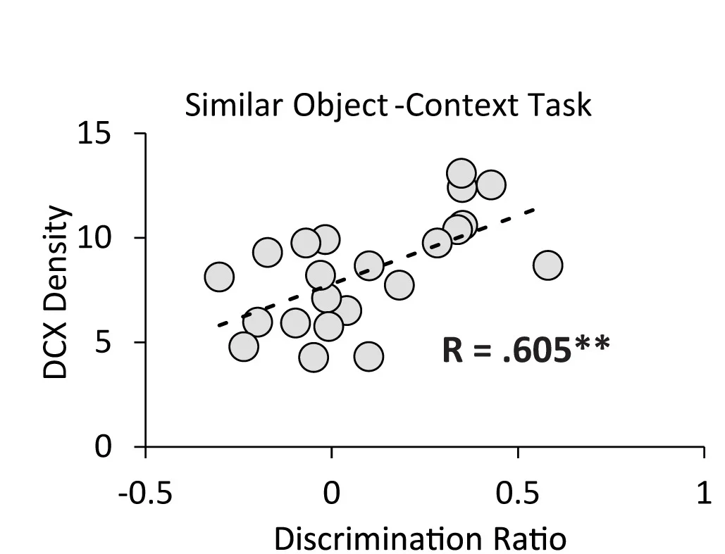 Open access visualization of Scatter Plot, Regression Plot, Scatterplots, DCX Density, DRs