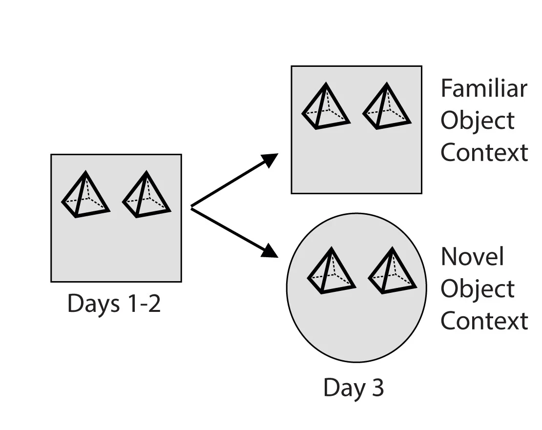 Open access visualization of Workflow, Flowchart, Illustration, Novel Conditions, Familiar Conditions