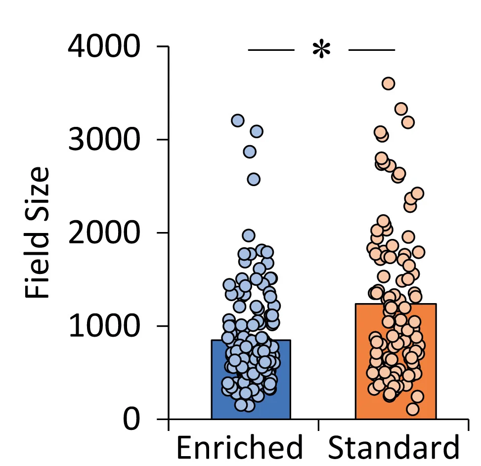 Open access visualization of Bar Plot, Scatter Plot, Bar Graphs, Field Size