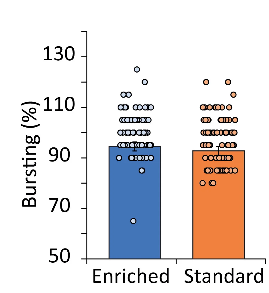 Open access visualization of Bar Plot, Error Bars, Scatter Plot, Bursting, Enriched Environment