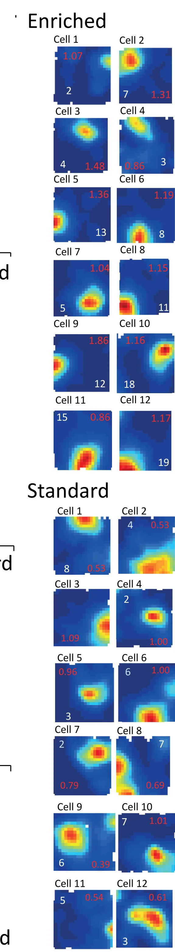 Open access visualization of Heatmap, Rate Maps, Representative Cells, Enriched Environment, Standard Environment