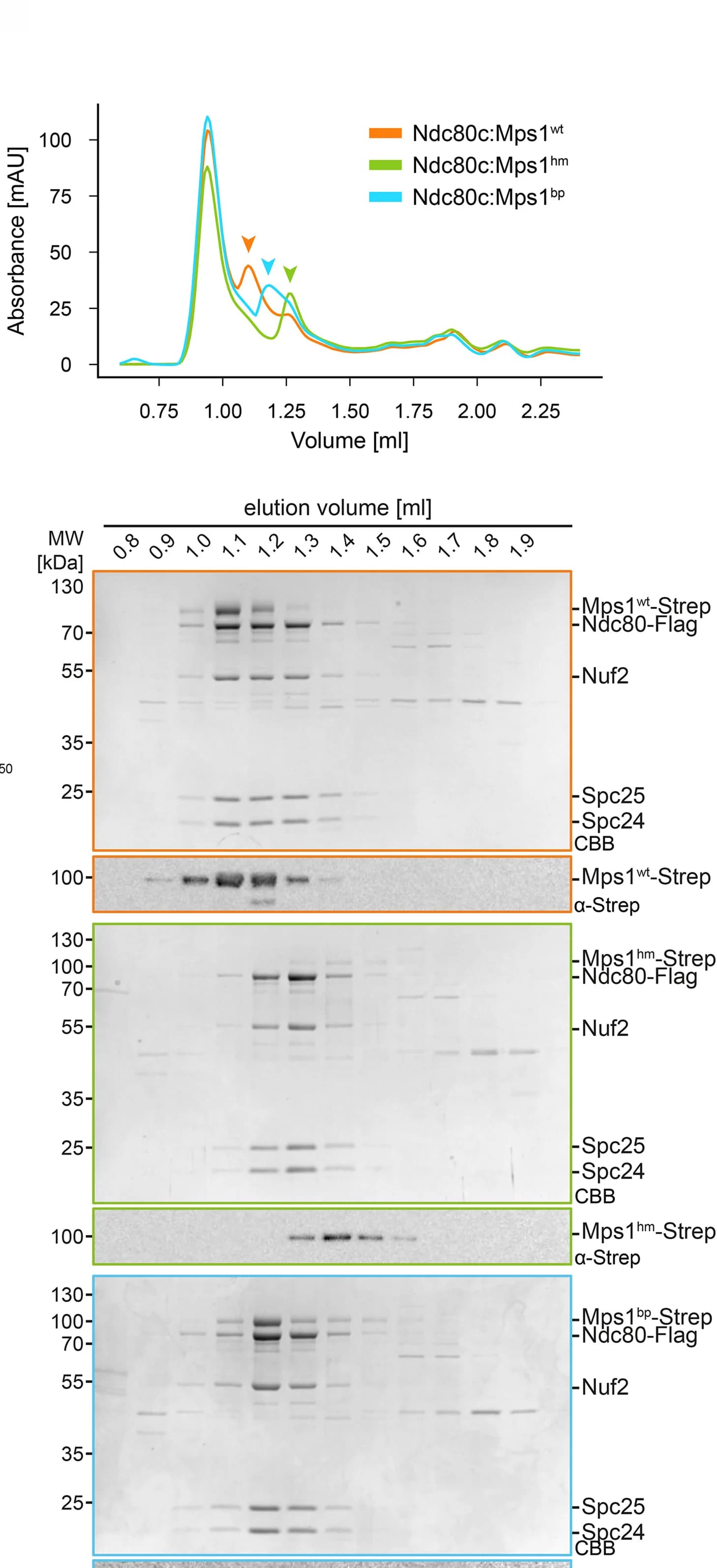 Open access visualization of Line Plot, Gel, Size exclusion chromatography, StrepII-Mps1, Ndc80c
