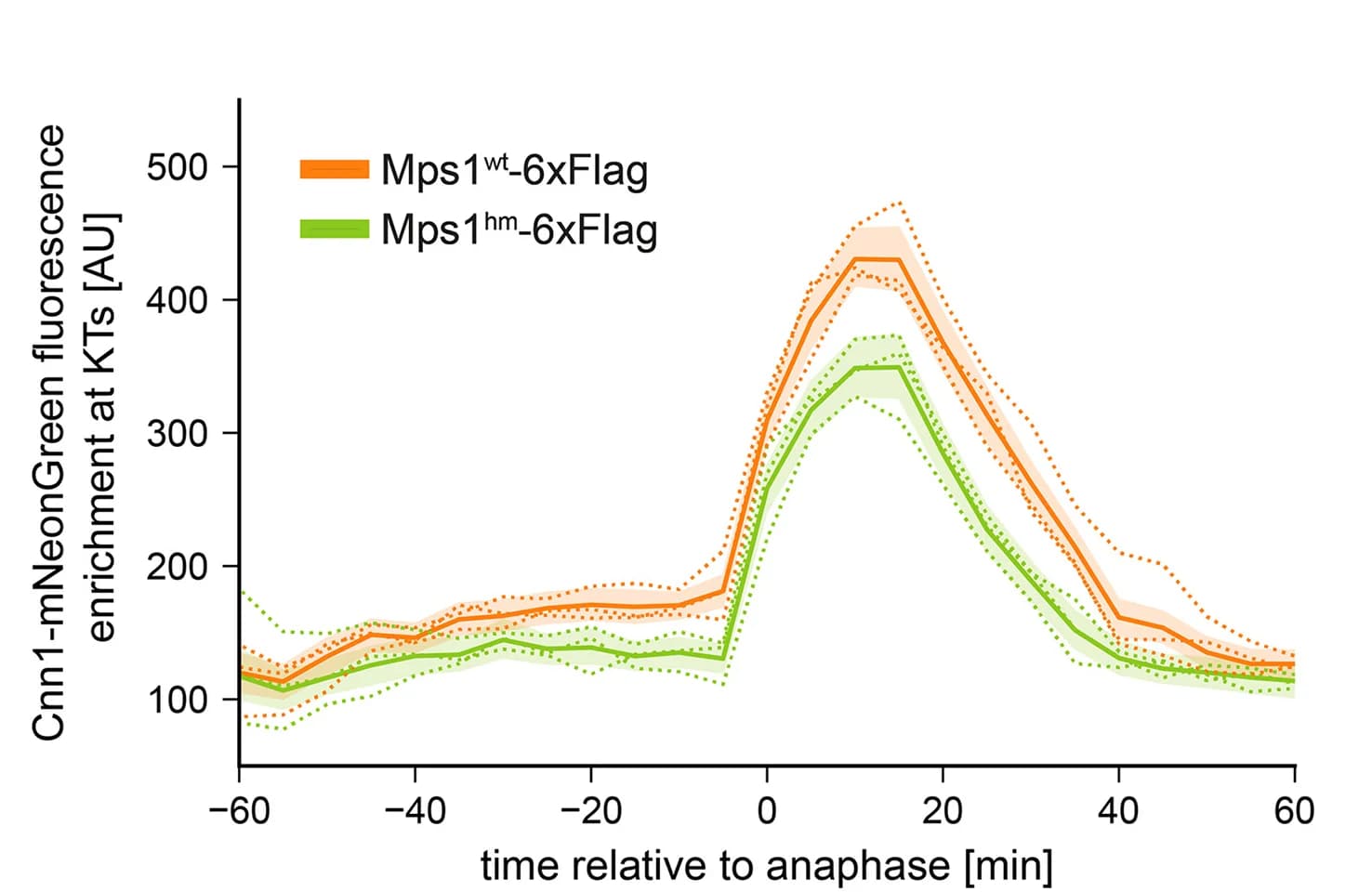 Open access visualization of Line Plot, Error Bars, Time-Lapse Microscopy, Quantification, Mean