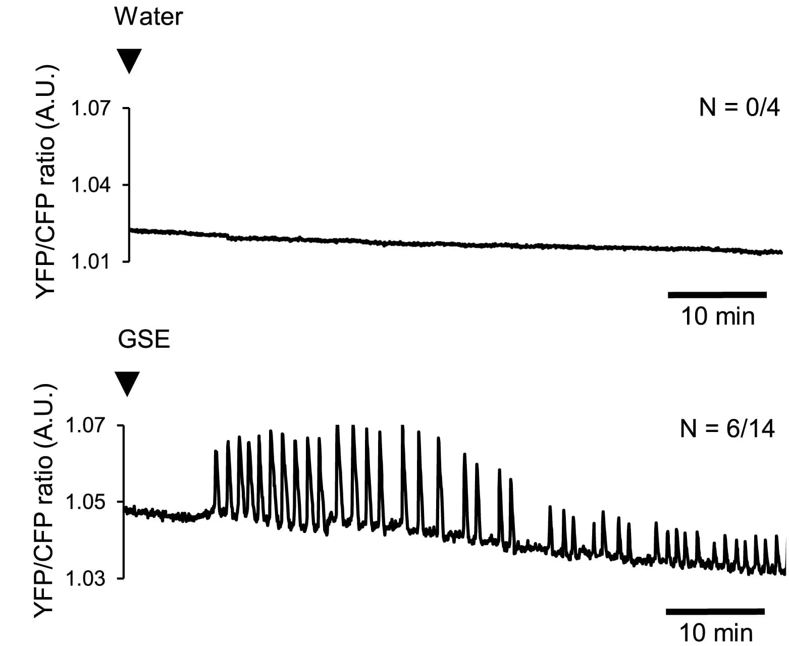 Open access visualization of Line Plot, Calcium Oscillation, Germinating Spore Exudate, Rhizoids, Calcium Reporter