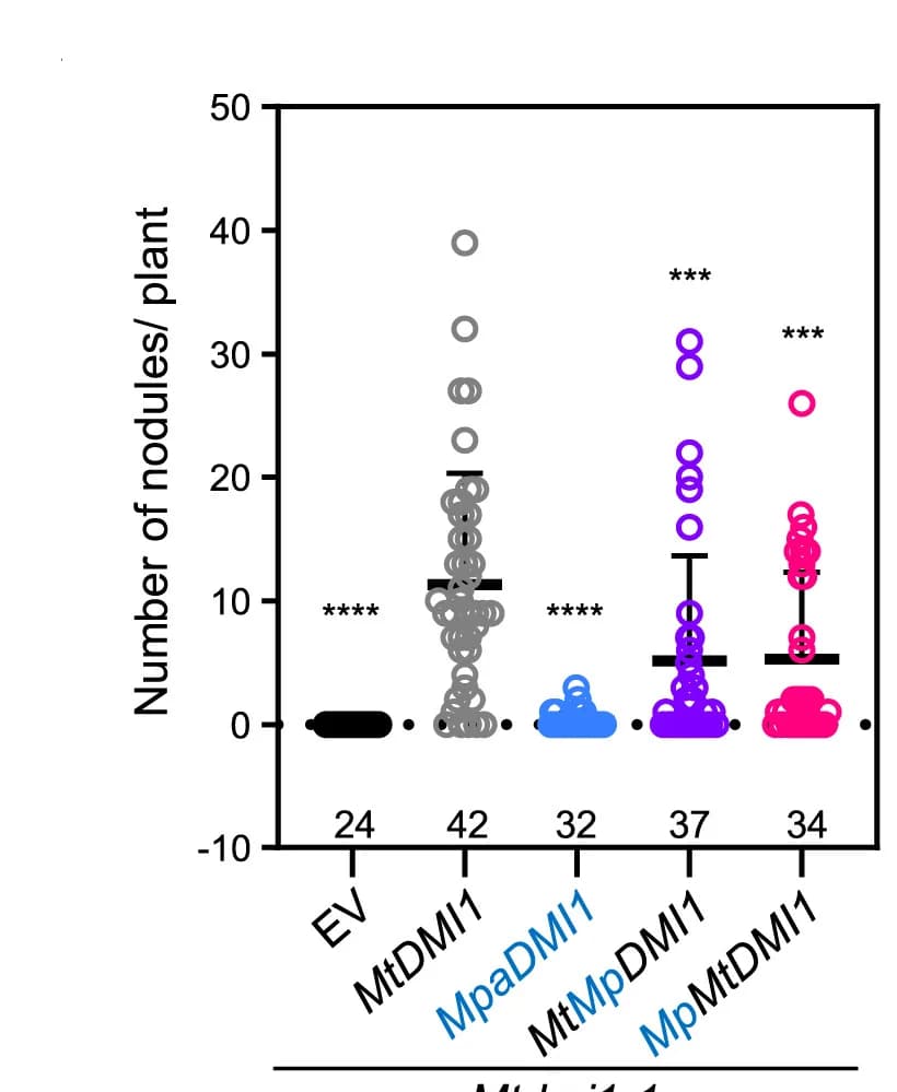Open access visualization of Scatter Plot, Error Bars, Nodulation Analysis, Mutant Roots, Empty Vector