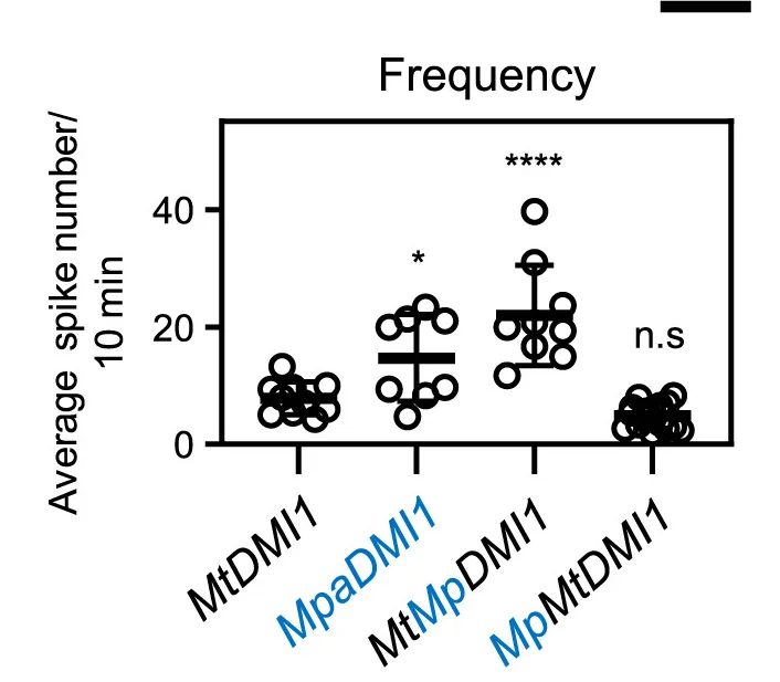 Open access visualization of Scatter Plot, Nuclear Calcium Oscillations, ANOVA, Dunnett's Test