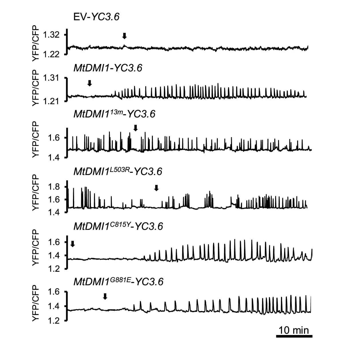 Open access visualization of Line Plot, Nod Factor, Calcium Spiking, Root Hair Cells, Calcium Reporter