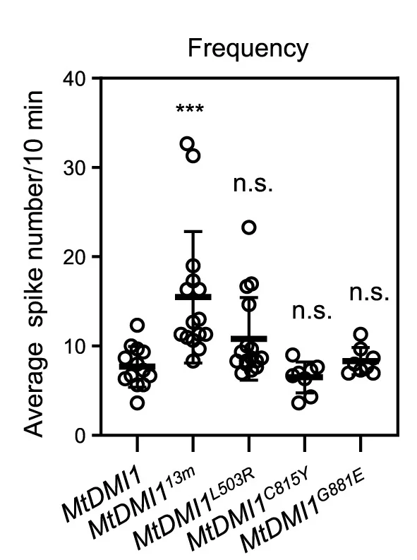 Open access visualization of Scatter Plot, Error Bars, Nuclear Calcium Oscillations, Frequency, Kruskal-Wallis Test