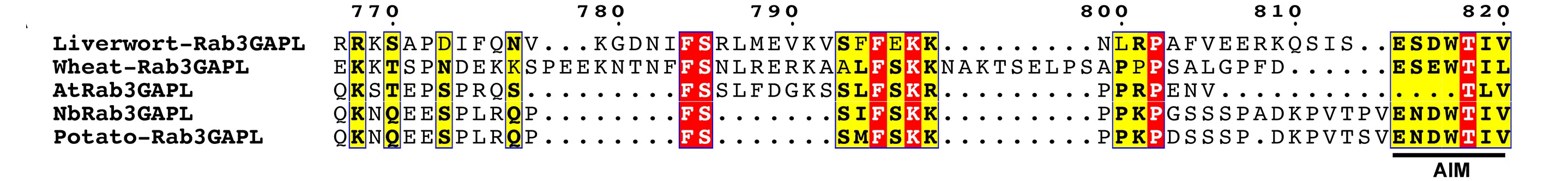 Open access visualization of Sequence Alignment, Rab3GAPL, Wheat, Arabidopsis, N. Benthamiana