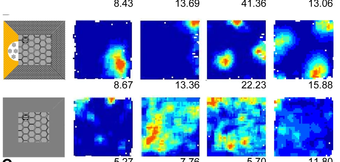 Open access visualization of Heatmap, Visual Cues, Walls