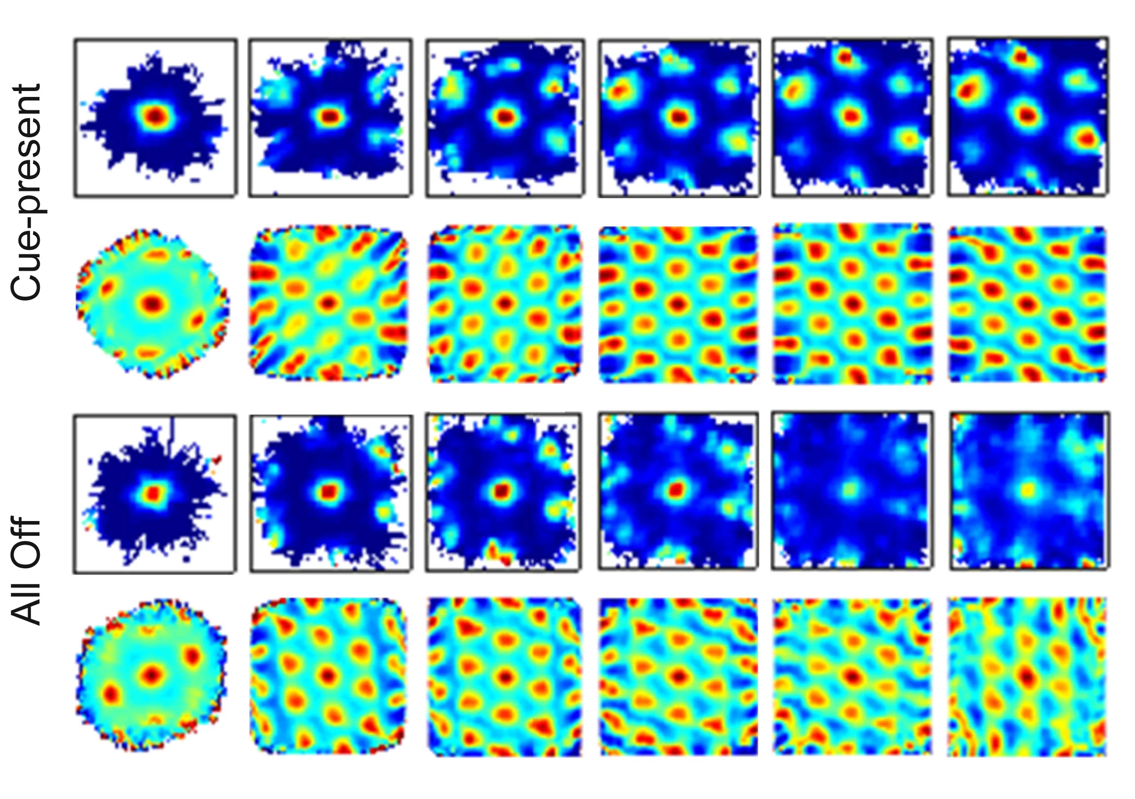 Open access visualization of Heatmap, Rate Maps, Auto-Correlograms, Grid Cells, Cue-Present