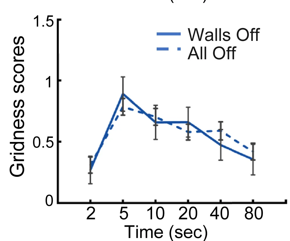 Open access visualization of Line Plot, Error Bars, Elliptical Gridness Scores, Firing Rate Maps, Walls-Off Condition