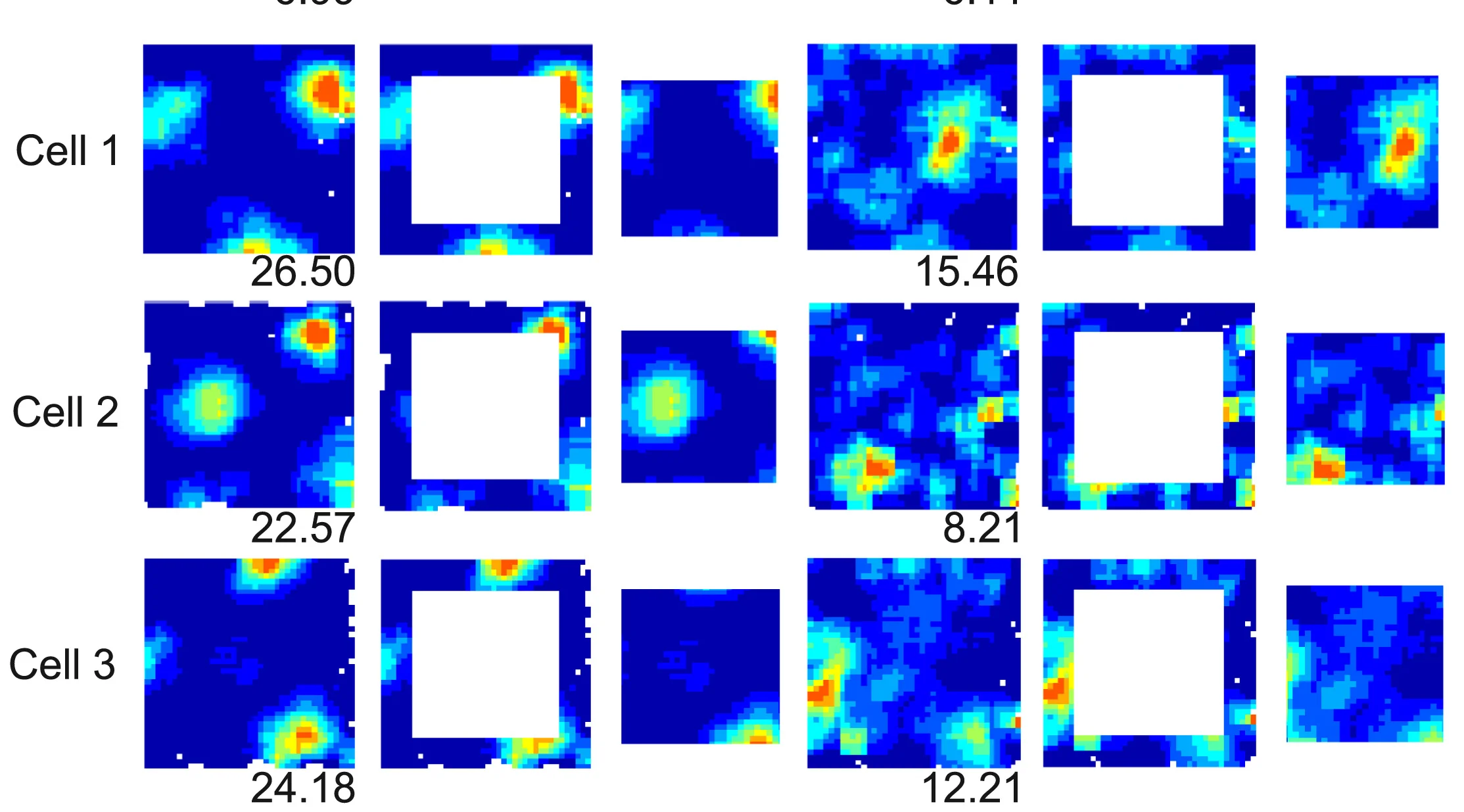 Open access visualization of Heatmap, Rate Maps, Grid Cells, Virtual Square, Cue-present Condition