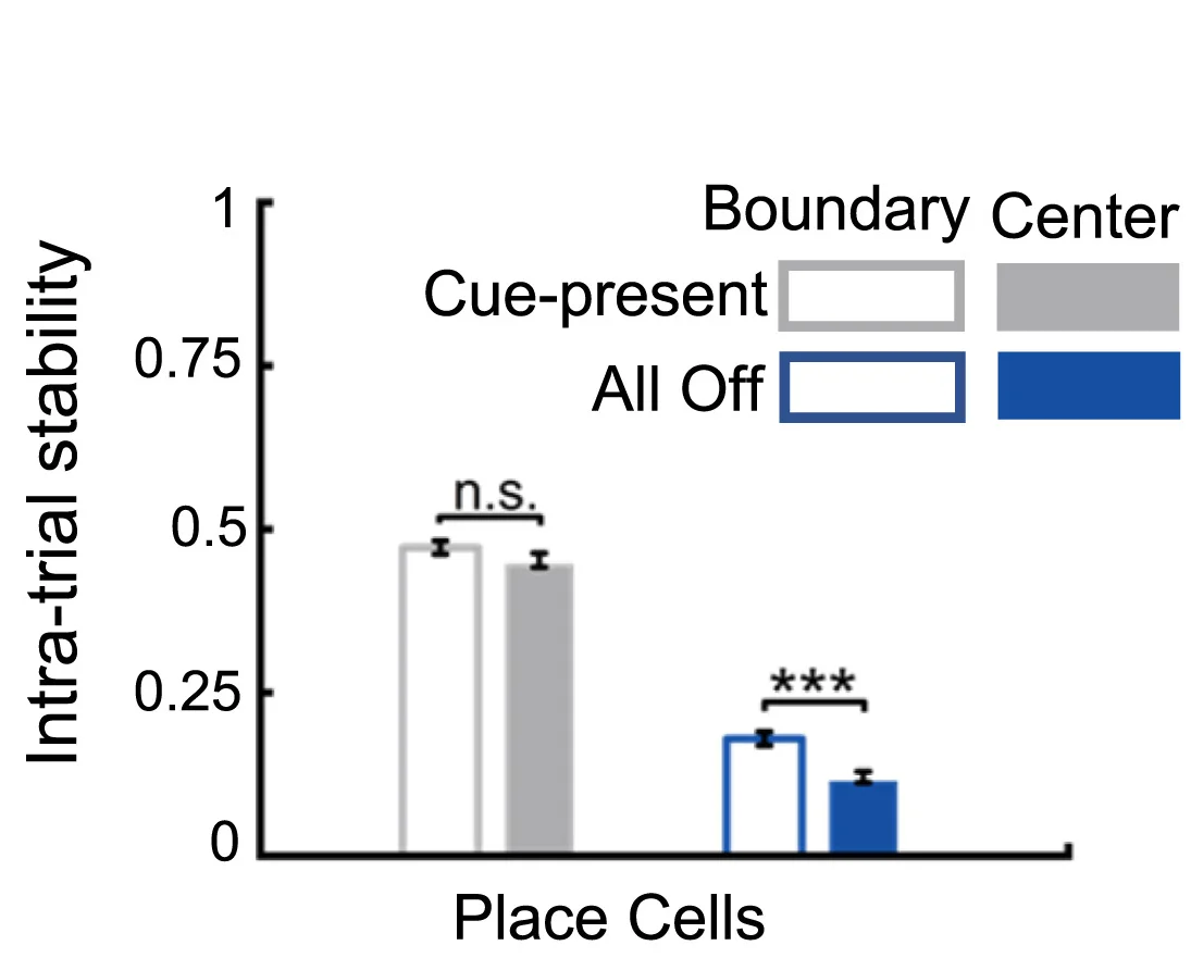 Open access visualization of Bar Plot, Error Bars, Clustered, Intra-trial Stability, Rate Maps