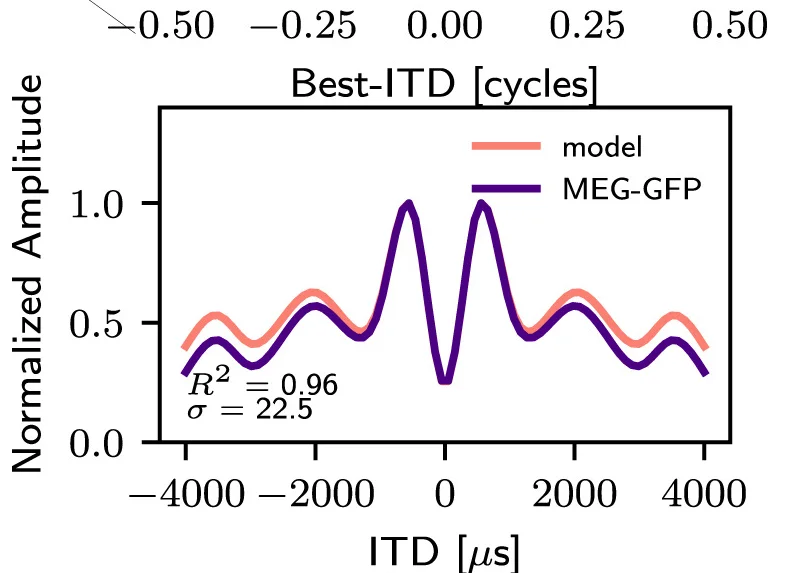 Open access visualization of Line Plot, MEG GFP, Model Activity, Scalp, Auditory Cortex