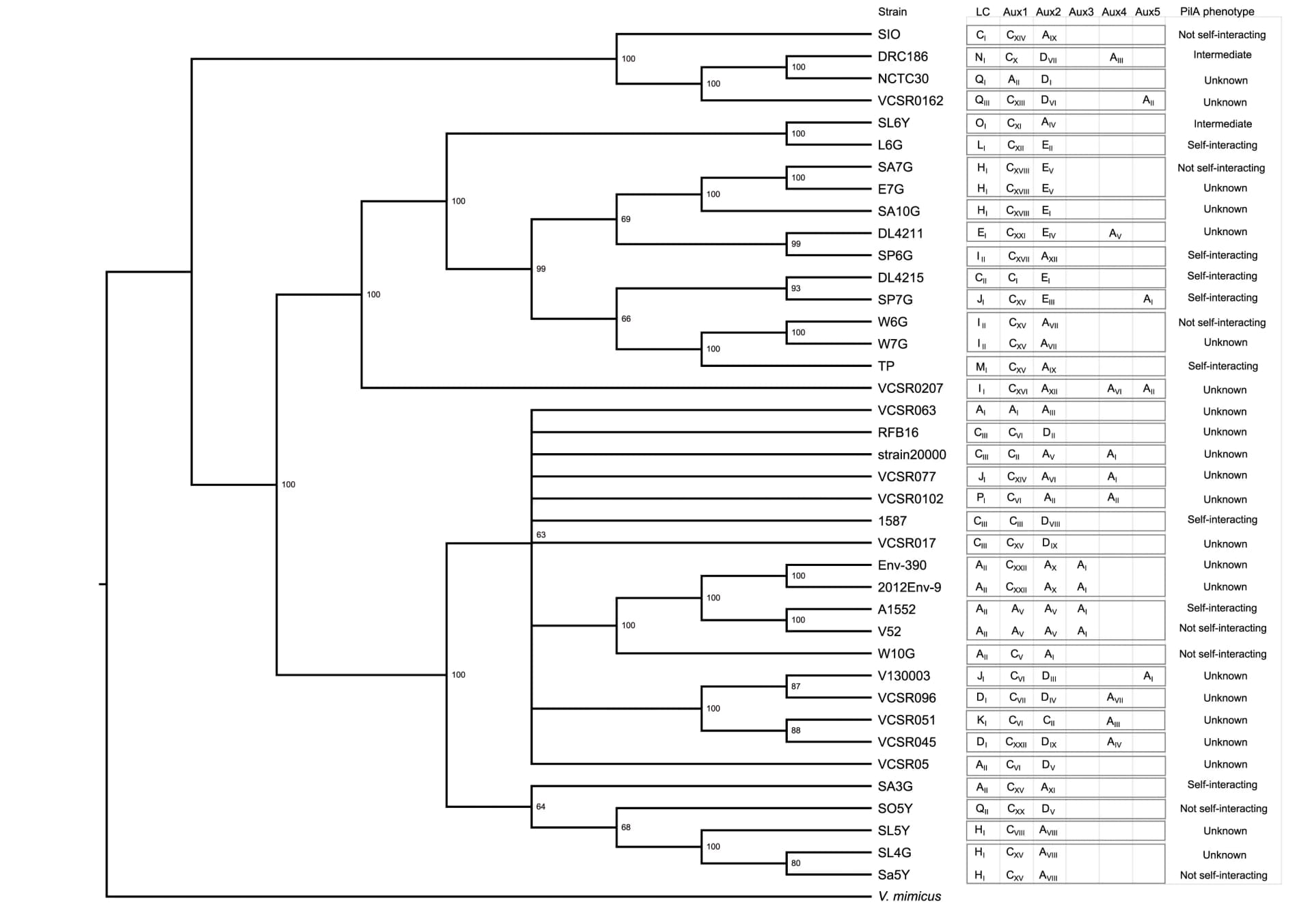 Open access visualization of Network, Cladogram, Vibrio Cholerae, Core Genes, T6SS Effector Module