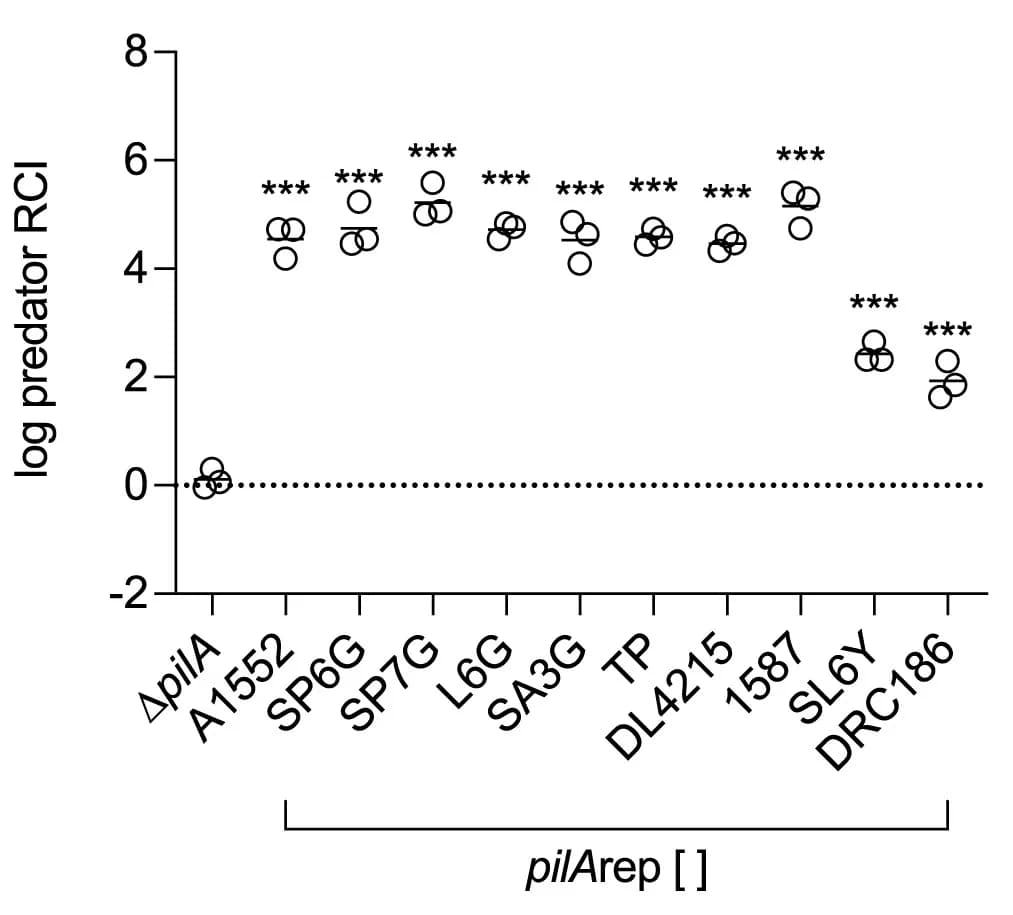 Open access visualization of Scatter Plot, Bacterial Competition Assay, PilA Variants, T6SS-Competent, T6SS-Sensitive