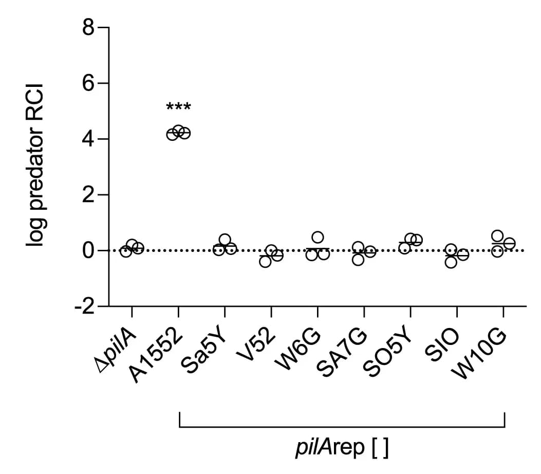Open access visualization of Scatter Plot, Log RCI, PilA Variants, Positive Control, Self-Interacting PilA