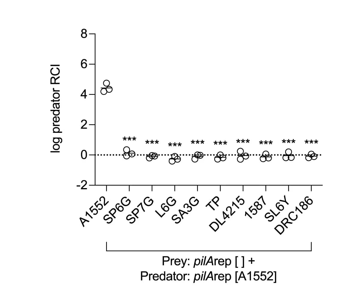 Open access visualization of Scatter Plot, T6SS, Predator Strains, Prey Strains, PilA Variants