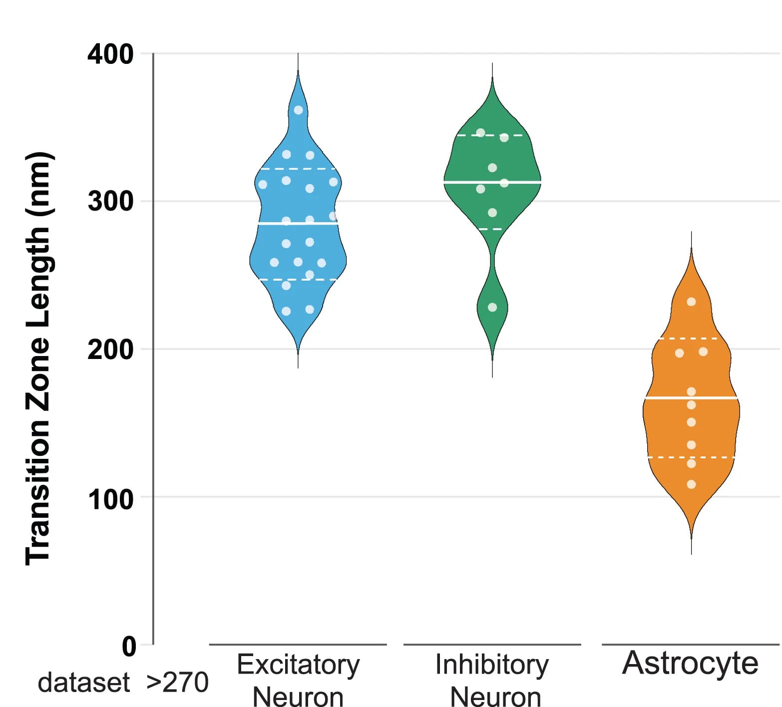 Open access visualization of Violin Plot, Scatter Plot, Transition Zone Lengths, Cilia, Sequential Images