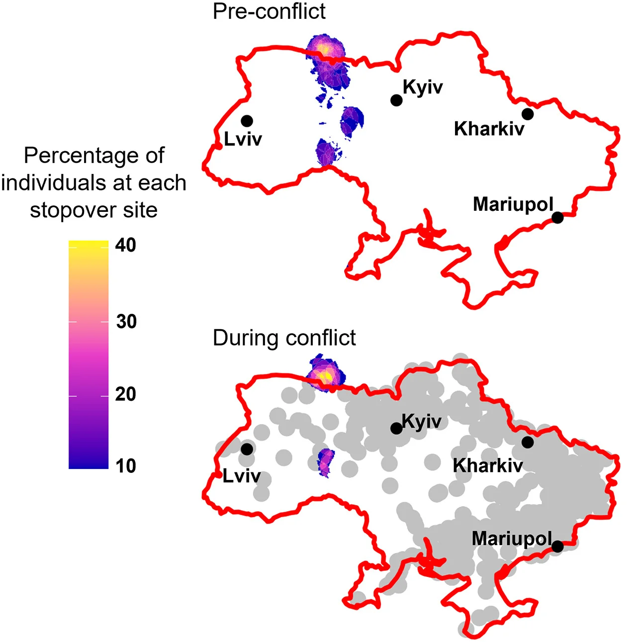 Open access visualization of Geo Map, Stopover Sites, Greater Spotted Eagles, Ukraine, Conflict Areas