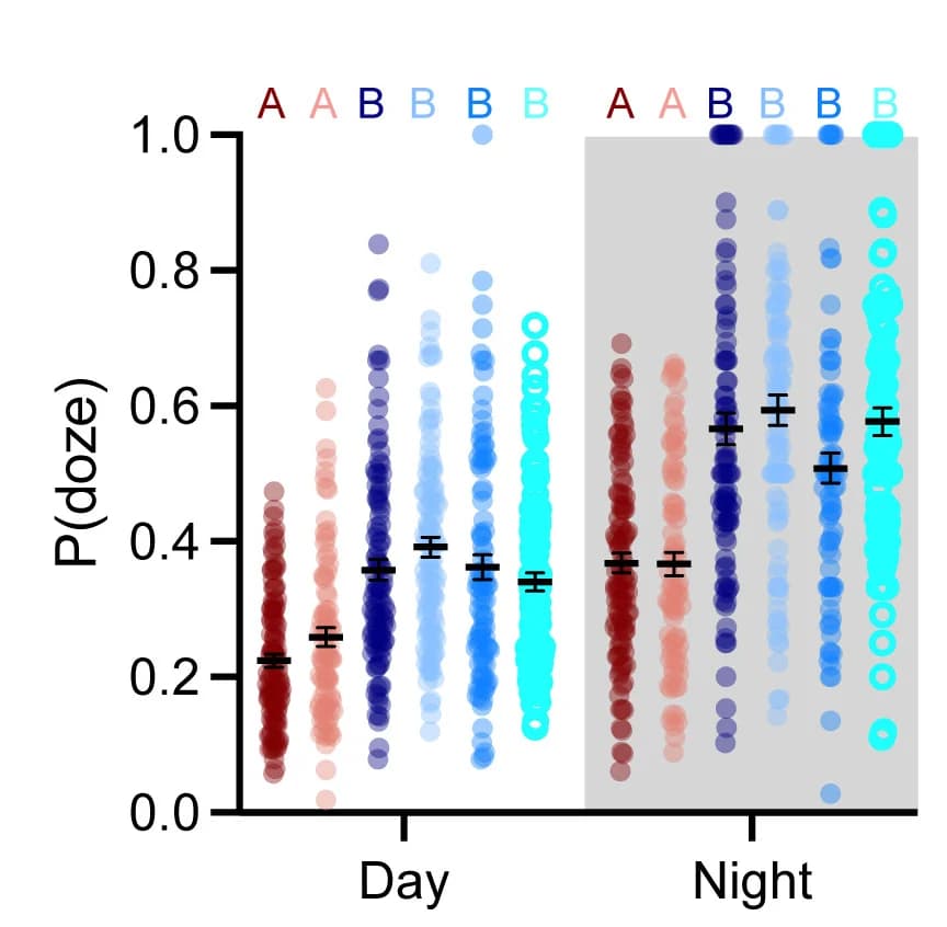Open access visualization of Scatter Plot, Error Bars, Probability of Doze, D. melanogaster, D. mojavensis