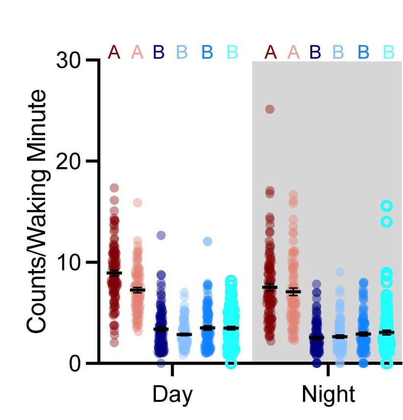 Open access visualization of Scatter Plot, Error Bars, Waking Activity, D. melanogaster, D. mojavensis