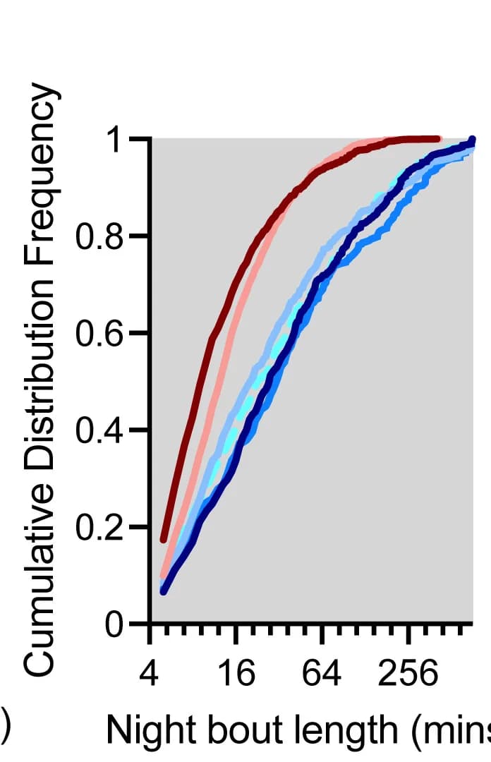 Open access visualization of Line Plot, Density Plot, Sleep Bout Duration, D. melanogaster, D. mojavensis