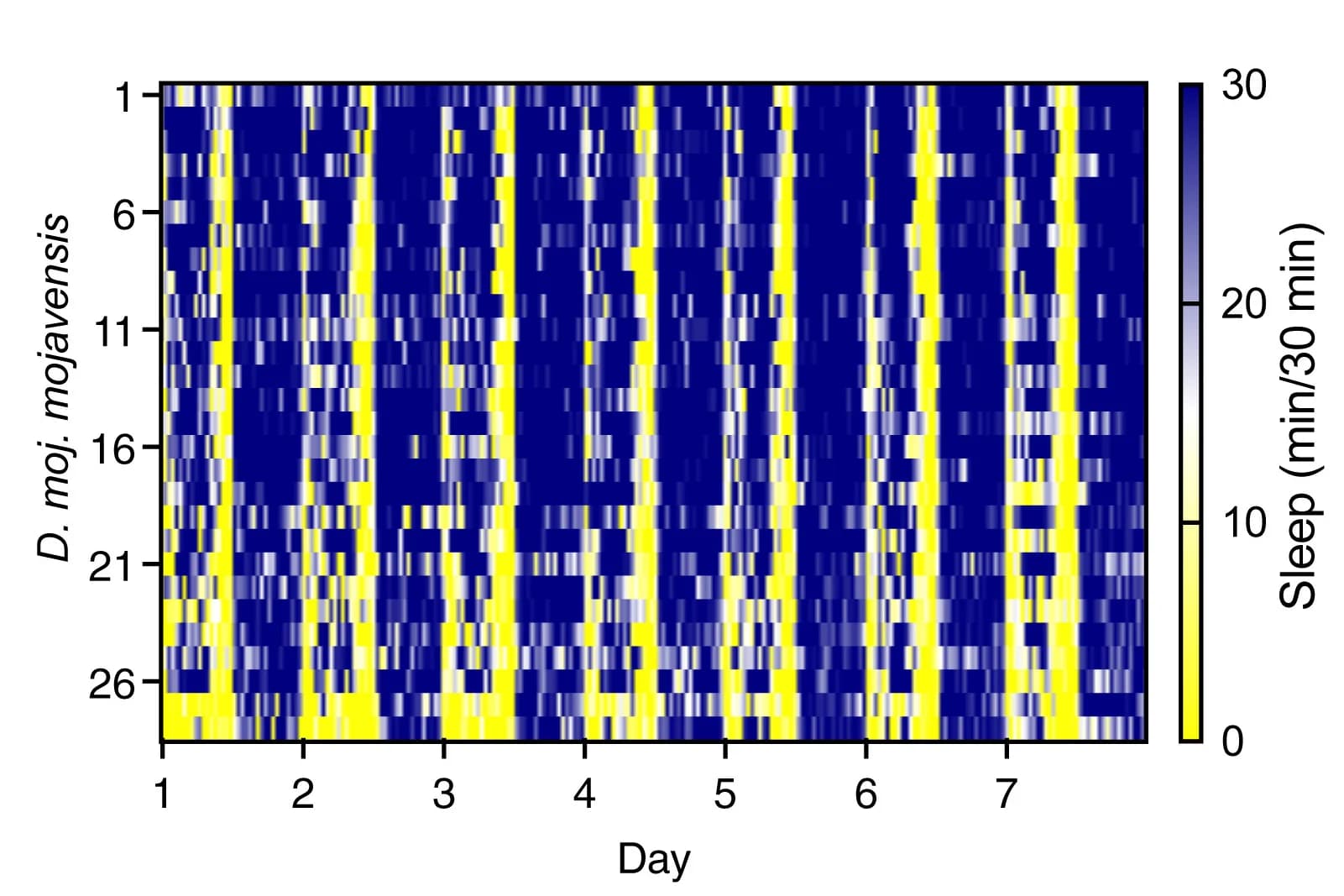 Open access visualization of Heatmap, Sleep Time Course, D. moj.moj., Female