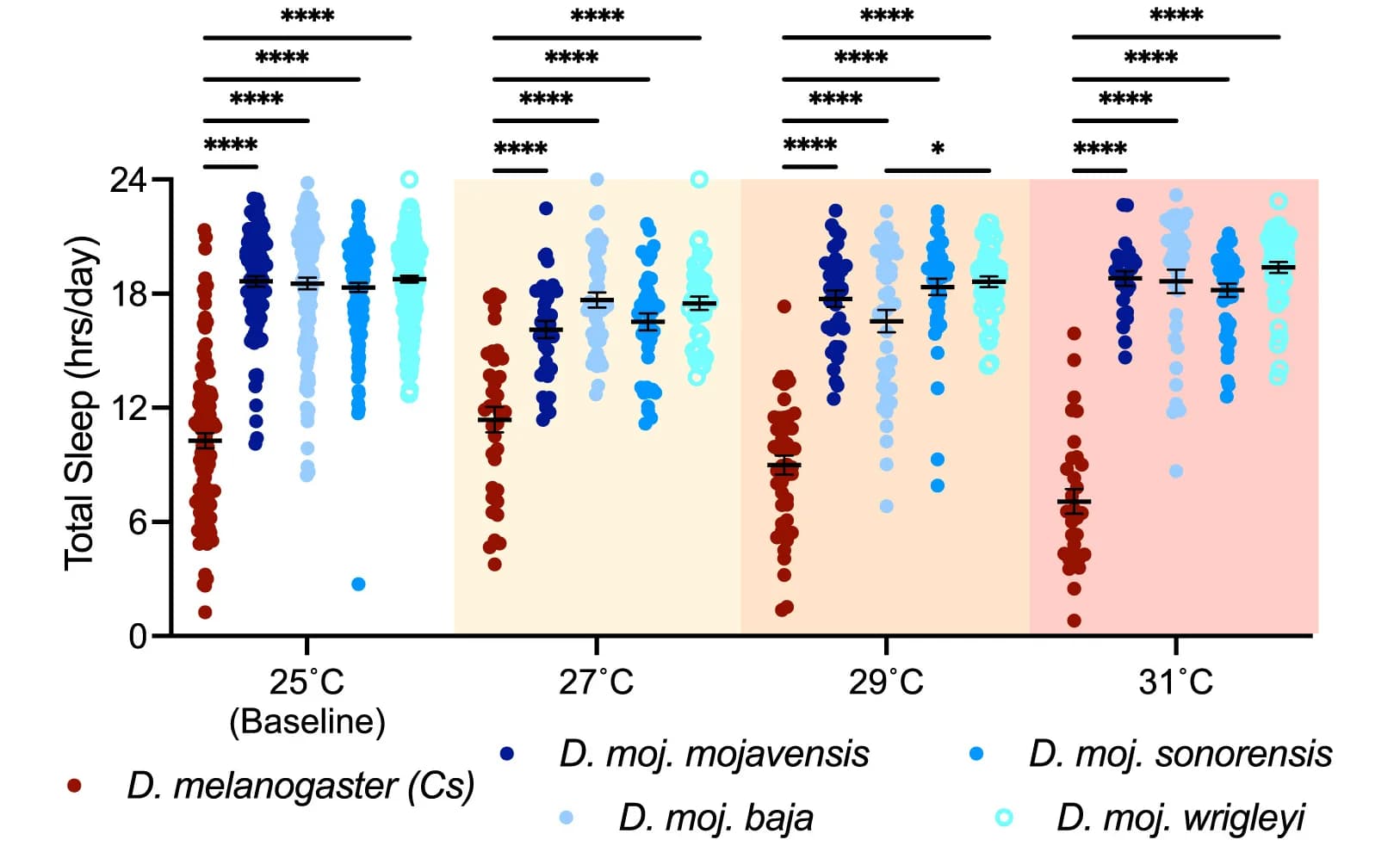 Open access visualization of Scatter Plot, Error Bars, Total Sleep, Temperature, Genotype