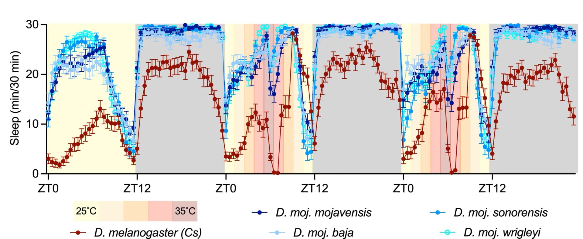 Open access visualization of Line Plot, Error Bars, Sleep Time Course, D. melanogaster, D. mojavensis
