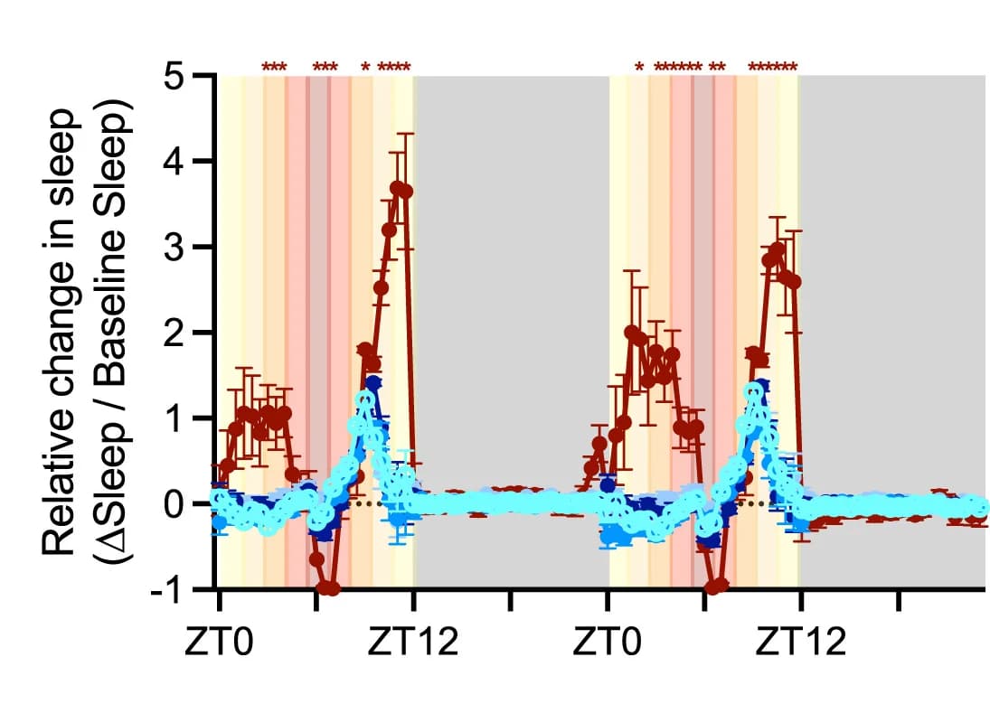 Open access visualization of Line Plot, Error Bars, Sleep Changes, Temperature, D. melanogaster