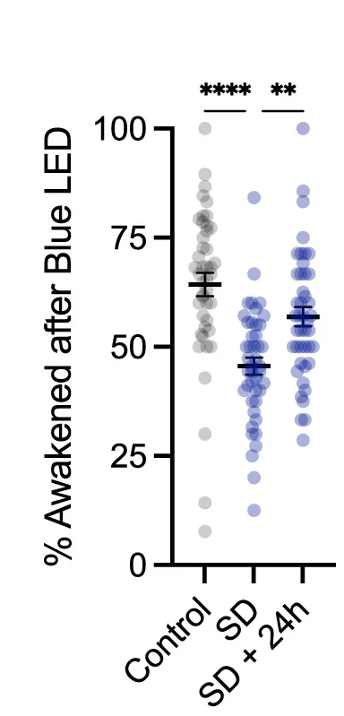 Open access visualization of Scatter Plot, Error Bars, Sleep, Blue Light, Light Exposure