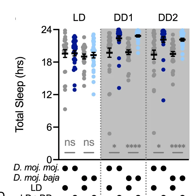 Open access visualization of Scatter Plot, Error Bars, Sleep, Daily Sleep, Light-Dark Cycle
