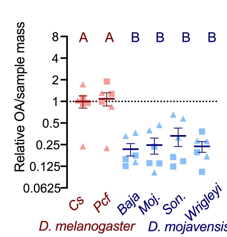 Open access visualization of Scatter Plot, Error Bars, LC-MS/MS, Octopamine, D. melanogaster