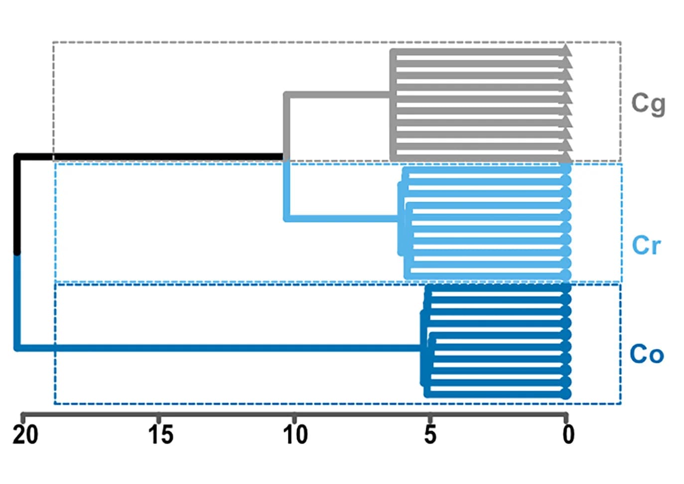 Open access visualization of Line Plot, Line Step, Hierarchical Clustering, Genetic Distances, Ward Clustering