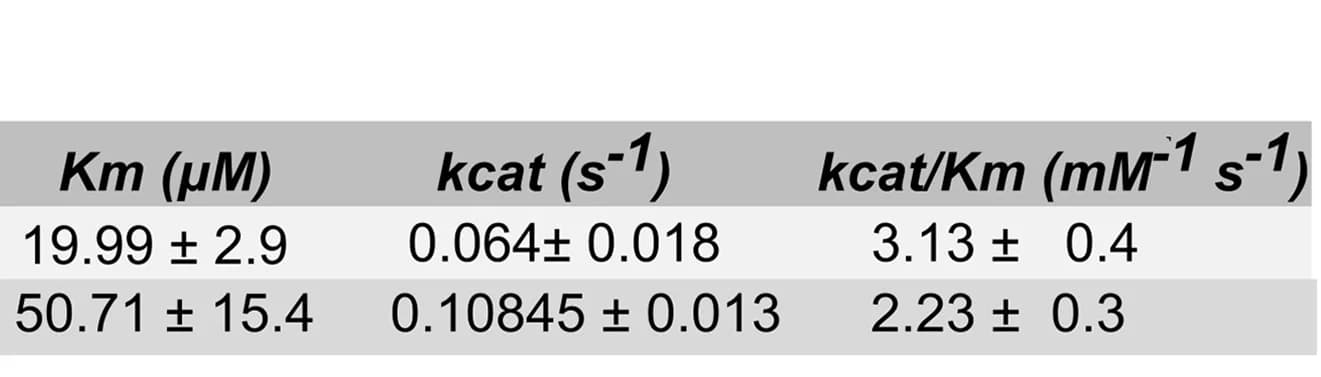 Open access visualization of Table Image, Kinetic Parameters, TPS02r, TPS02g, Geranyl Pyrophosphate