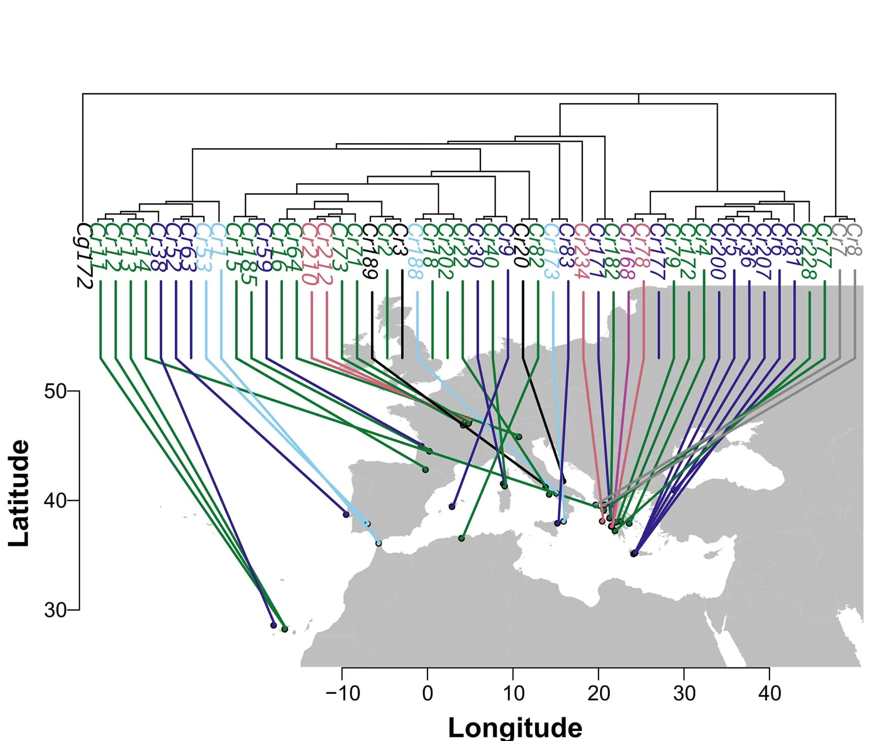 Open access visualization of Geo Map, Geographical Distribution, Haplotype Groups, Admixture Analysis, Phylogenetic Relationship